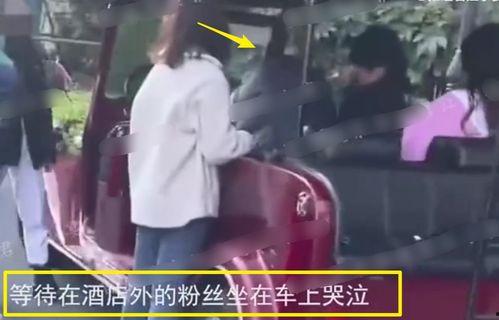 福州爆料小三事件视频播放,一场家庭纷争的激烈上演