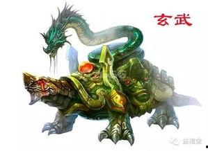 最新爆料四大神兽视频,最新视频曝光震撼来袭! 第3张 最新爆料四大神兽视频,最新视频曝光震撼来袭! 第3张